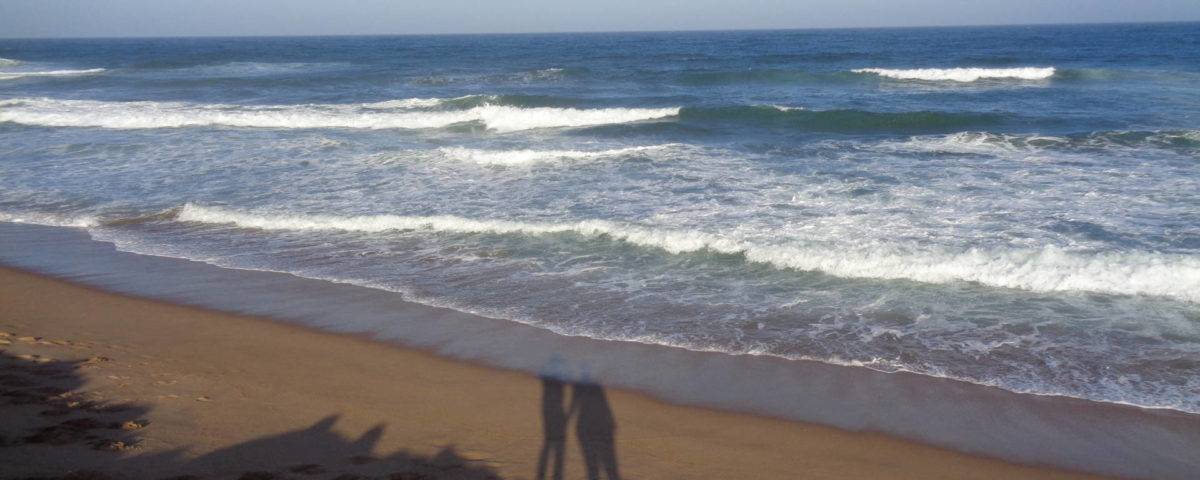 COCCIfil congés été 2018