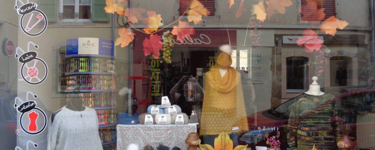 vitrine automne 2018 coccifil