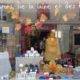 vitrine automne 2018 coccifil