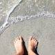 vacances aout 2019 COCCIfil